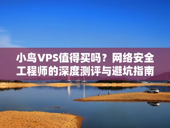 小鸟VPS值得买吗？网络安全工程师的深度测评与避坑指南