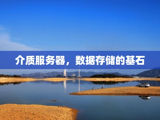 介质服务器，数据存储的基石