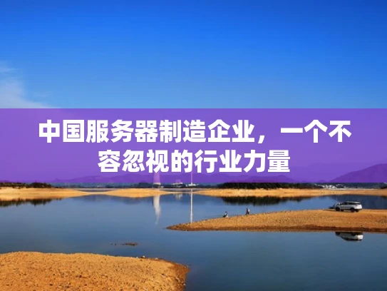 中国服务器制造企业，一个不容忽视的行业力量