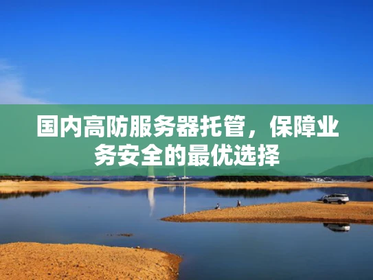 国内高防服务器托管，保障业务安全的最优选择
