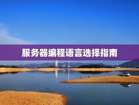 服务器编程语言选择指南