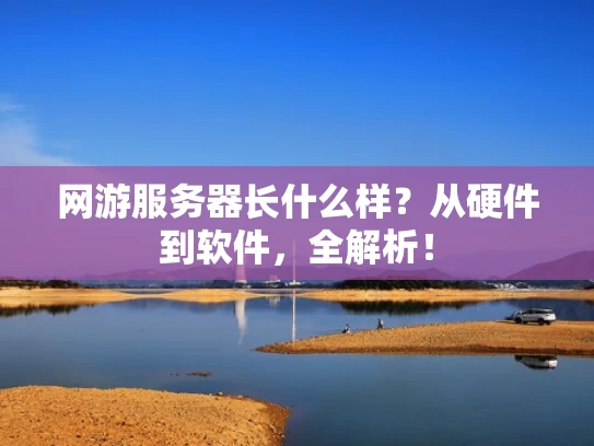 网游服务器长什么样？从硬件到软件，全解析！