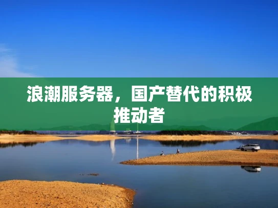 浪潮服务器，国产替代的积极推动者