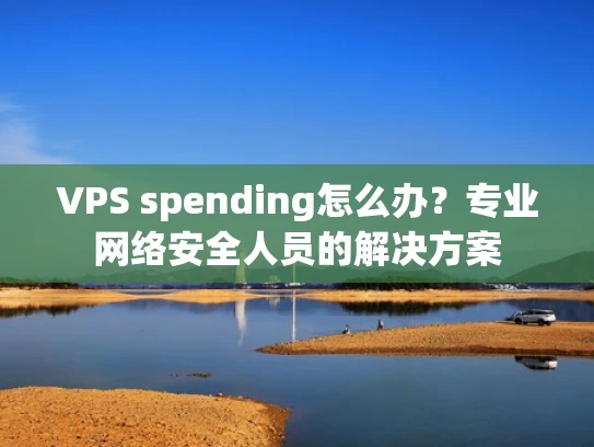 VPS spending怎么办？专业网络安全人员的解决方案