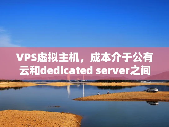 VPS虚拟主机，成本介于公有云和dedicated server之间
