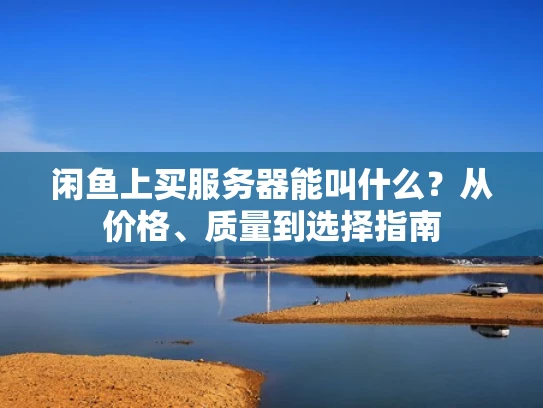 闲鱼上买服务器能叫什么？从价格、质量到选择指南