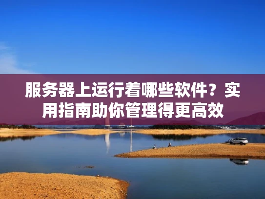 服务器上运行着哪些软件？实用指南助你管理得更高效