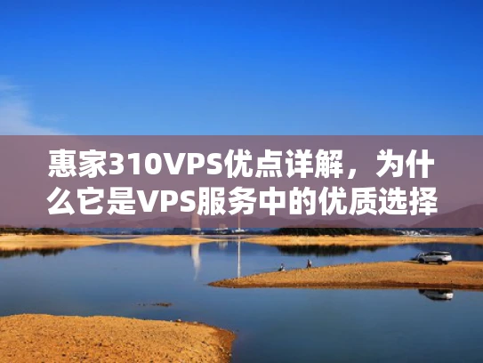惠家310VPS优点详解，为什么它是VPS服务中的优质选择？