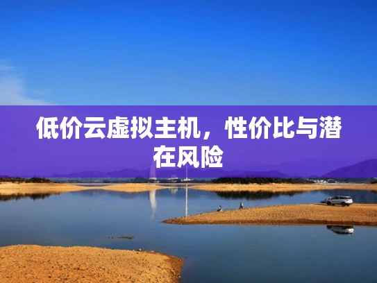 低价云虚拟主机，性价比与潜在风险