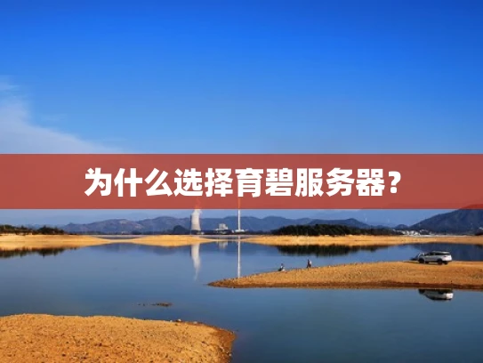 为什么选择育碧服务器？