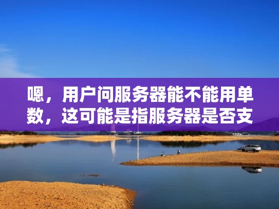 嗯，用户问服务器能不能用单数，这可能是指服务器是否支持单数形式的网络请求。我得先理解用户的问题到底是什么。可能用户在配置服务器的时候遇到了问题，或者是在开发过程中遇到了单数请求处理的问题