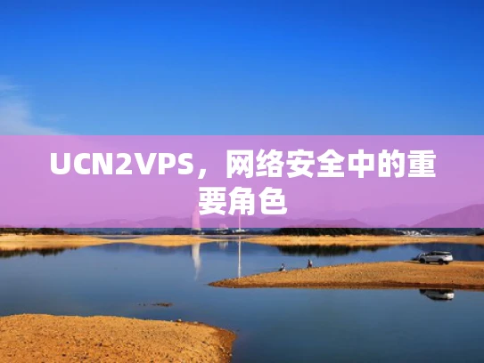 UCN2VPS，网络安全中的重要角色