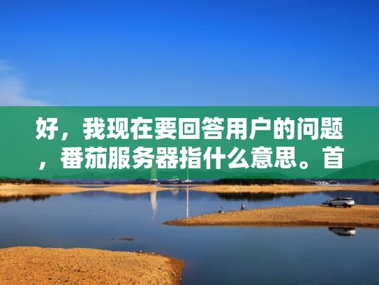 好，我现在要回答用户的问题，番茄服务器指什么意思。首先，我需要明确番茄服务器这个术语的具体含义。可能用户在使用过程中遇到了这个词，不太清楚具体指什么，所以需要解释清楚