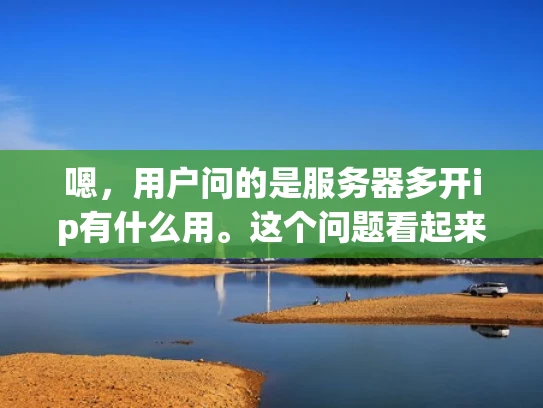 嗯，用户问的是服务器多开ip有什么用。这个问题看起来是关于服务器配置和网络安全的。首先，我得理解用户可能的背景。可能是一个刚开始学习网络技术的人，或者是企业 IT 管理员，想要优化服务器性能和安全性