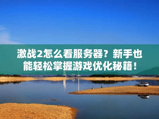 激战2怎么看服务器？新手也能轻松掌握游戏优化秘籍！