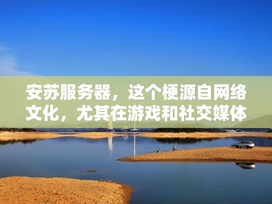 安苏服务器，这个梗源自网络文化，尤其在游戏和社交媒体社区中非常流行。它通常用来调侃或讽刺某些人对游戏的极端热情，尤其是对游戏服务器的执着。让我为你详细解读这个梗