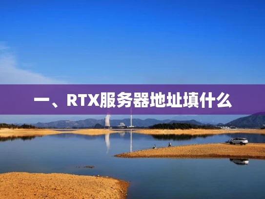 一、RTX服务器地址填什么