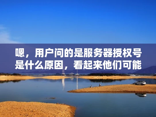 嗯，用户问的是服务器授权号是什么原因，看起来他们可能对服务器管理中的某个术语不太清楚。首先，我得明确服务器授权号是什么，然后解释它存在的原因，这样用户就能理解为什么需要这个授权号了