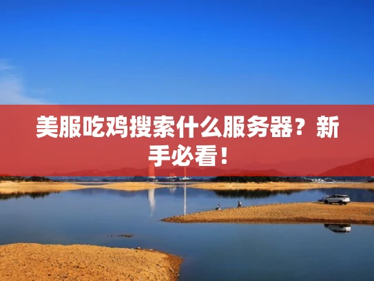 美服吃鸡搜索什么服务器？新手必看！