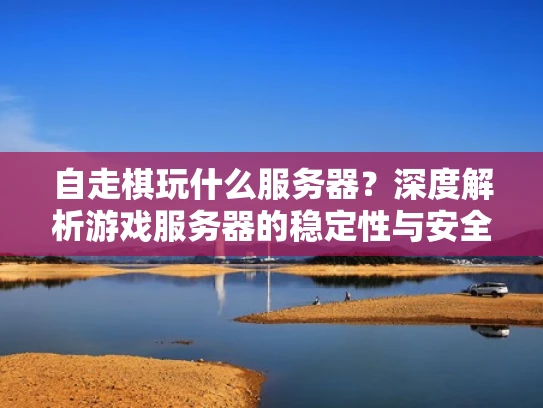 自走棋玩什么服务器？深度解析游戏服务器的稳定性与安全性