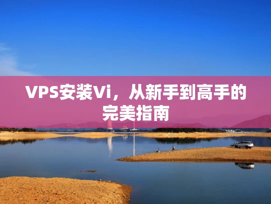 VPS安装Vi，从新手到高手的完美指南