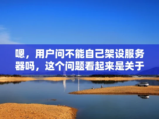 嗯，用户问不能自己架设服务器吗，这个问题看起来是关于网络安全或者个人服务器设置的。首先，我需要理解用户的具体需求是什么。可能他们想自己搭建一个服务器，但不知道是否可行，或者担心安全问题