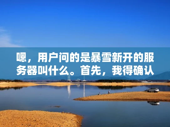 嗯，用户问的是暴雪新开的服务器叫什么。首先，我得确认暴雪最近有没有新开的服务器。最近好像暴雪不太活跃，服务器应该不多。然后，我得考虑用户的需求，可能他们是在玩魔兽世界，或者对游戏服务器感兴趣