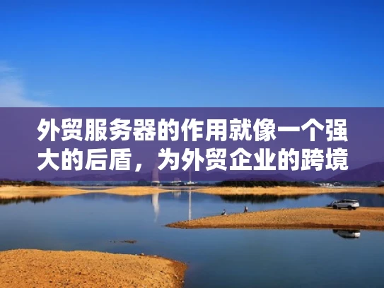 外贸服务器的作用就像一个强大的后盾，为外贸企业的跨境业务提供坚实的支撑。外贸服务器主要用于处理从订单管理到客户支持等多方面的任务，确保外贸业务的高效运行