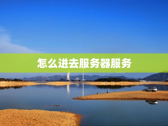 怎么进去服务器服务
