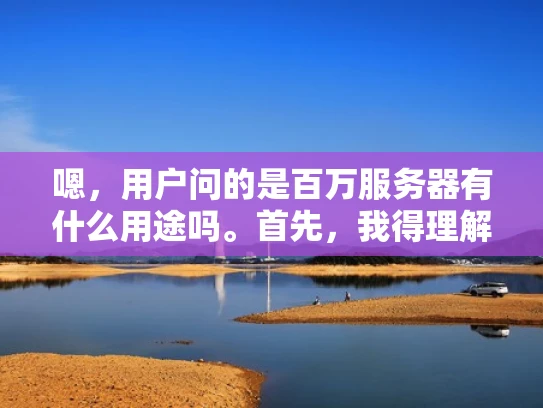 嗯，用户问的是百万服务器有什么用途吗。首先，我得理解这个问题。百万服务器听起来像是一个很大的数据量，可能涉及到云计算或者大数据处理。用户可能是在考虑投资或者技术方面，想知道这么大的服务器能用在哪里