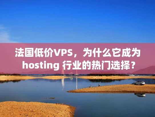法国低价VPS，为什么它成为 hosting 行业的热门选择？