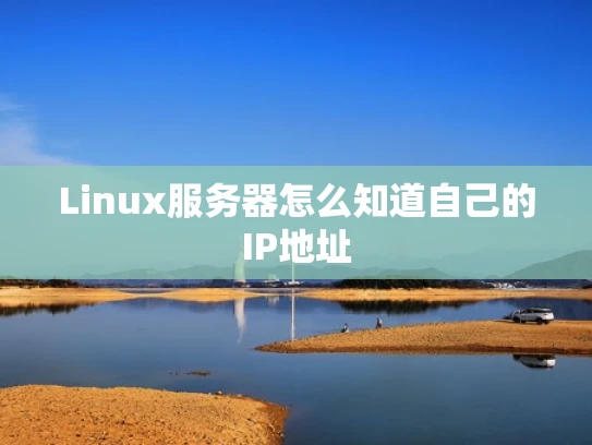 Linux服务器怎么知道自己的IP地址