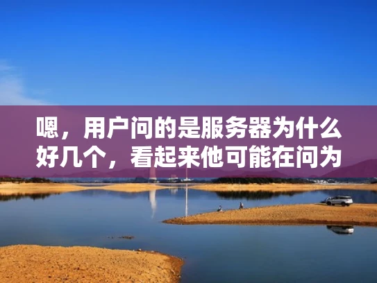 嗯，用户问的是服务器为什么好几个，看起来他可能在问为什么网站或者应用有时候会用多个服务器。我得先理解他的问题到底是什么意思。可能他遇到了服务器数量多的情况，或者在配置服务器时遇到了多个服务器的问题