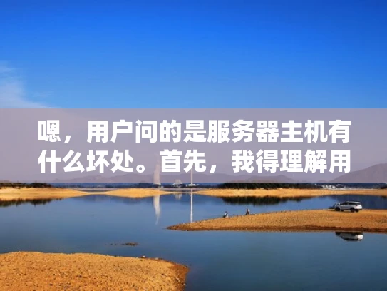 嗯，用户问的是服务器主机有什么坏处。首先，我得理解用户的问题。他们可能是一个刚开始接触服务器的人，或者是在考虑升级或更换服务器，想了解服务器的优缺点，以便做出决策