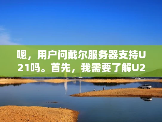嗯，用户问戴尔服务器支持U21吗。首先，我需要了解U21是什么。U21是微软推出的一个统一身份认证平台，主要用来统一管理企业IT资源，包括服务器、终端等。戴尔作为一家大公司，肯定会有相关的支持