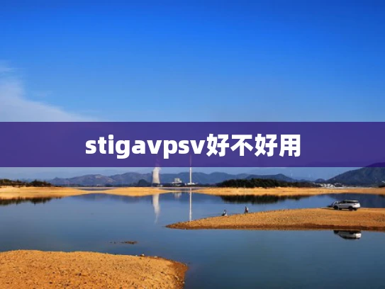 stigavpsv好不好用