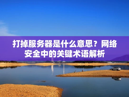 打掉服务器是什么意思？网络安全中的关键术语解析