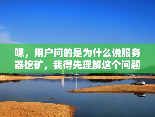 嗯，用户问的是为什么说服务器挖矿，我得先理解这个问题。服务器挖矿，听起来像是在用服务器来挖矿，那挖矿本来就是通过算力获取奖励的行为，通常用ASIC矿机效率高，成本低。那为什么服务器会挖矿呢？