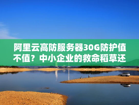 阿里云高防服务器30G防护值不值？中小企业的救命稻草还是智商税？