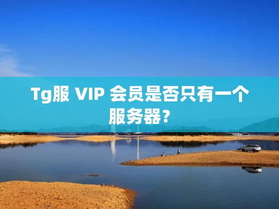 Tg服 VIP 会员是否只有一个服务器？