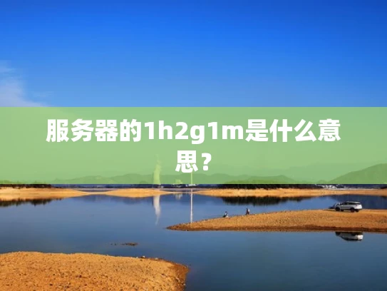 服务器的1h2g1m是什么意思？