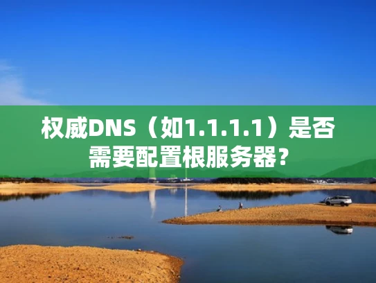 权威DNS（如1.1.1.1）是否需要配置根服务器？
