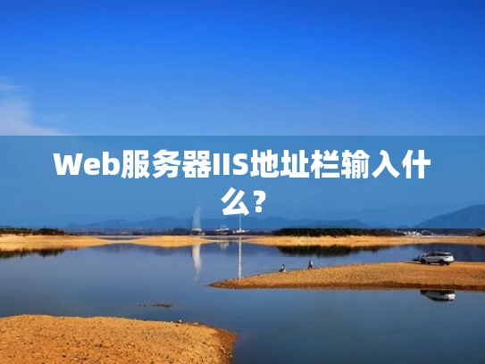 Web服务器IIS地址栏输入什么？