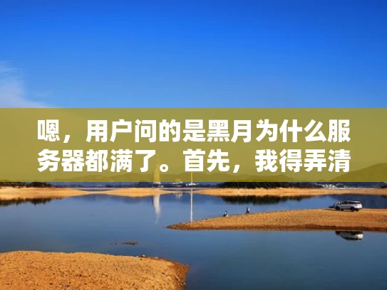 嗯，用户问的是黑月为什么服务器都满了。首先，我得弄清楚黑月指的是什么。可能是一个网络事件或者某个特定的攻击事件。然后，用户想知道为什么服务器会突然变得非常繁忙，可能是因为流量激增或者服务被攻击