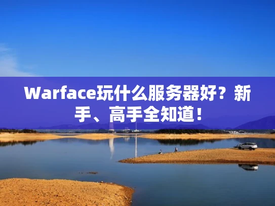 Warface玩什么服务器好？新手、高手全知道！