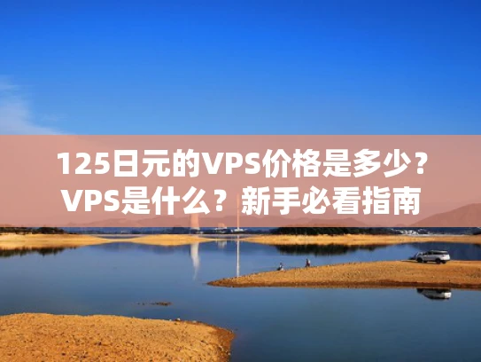 125日元的VPS价格是多少？VPS是什么？新手必看指南