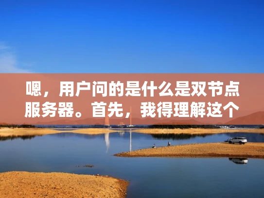 嗯，用户问的是什么是双节点服务器。首先，我得理解这个术语的含义。双节点服务器应该是指同时运行两个节点的服务器，可能用于分布式系统或者高可用性的场景
