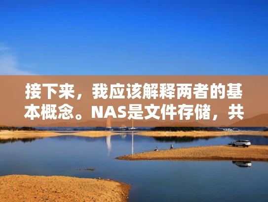接下来，我应该解释两者的基本概念。NAS是文件存储，共享是文件访问。NAS通常用于存储大量数据，比如备份、文件存储，而共享更多是用于团队协作，方便多人访问共享文件夹
