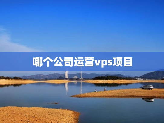 哪个公司运营vps项目
