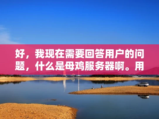 好，我现在需要回答用户的问题，什么是母鸡服务器啊。用户希望我以知乎风格，结合专业知识，用大白话写一篇至少1000字的文章，并且符合SEO优化，突出关键词